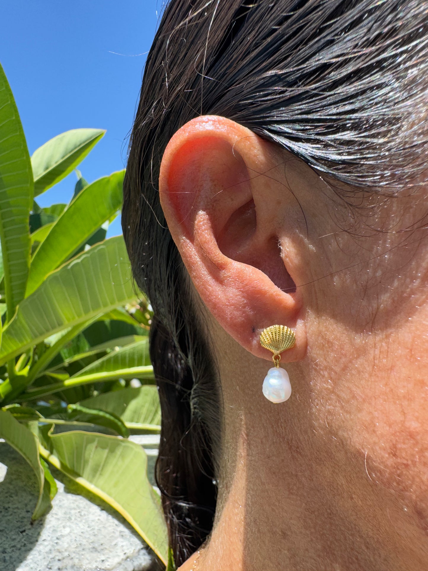 Clam and pearl dangly earrings